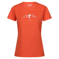 Satsuma - Front - Regatta Womens-Ladies Fingal VIII Mountain T-Shirt