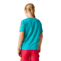 Tahoe Blue - Pack Shot - Regatta Childrens-Kids Alvardo VIII Heart T-Shirt