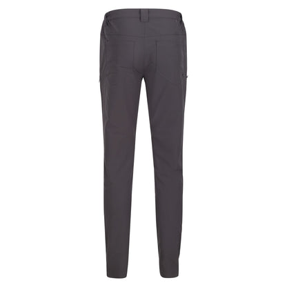 Ash - Back - Regatta Mens Kennick Stretch Hiking Trousers