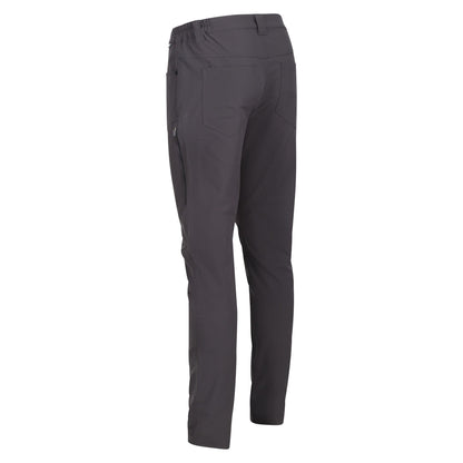 Ash - Lifestyle - Regatta Mens Kennick Stretch Hiking Trousers