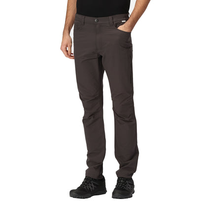 Ash - Pack Shot - Regatta Mens Kennick Stretch Hiking Trousers