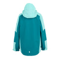 Exotic Plume-Aruba Blue - Back - Regatta Childrens-Kids Calderdale II Waterproof Jacket