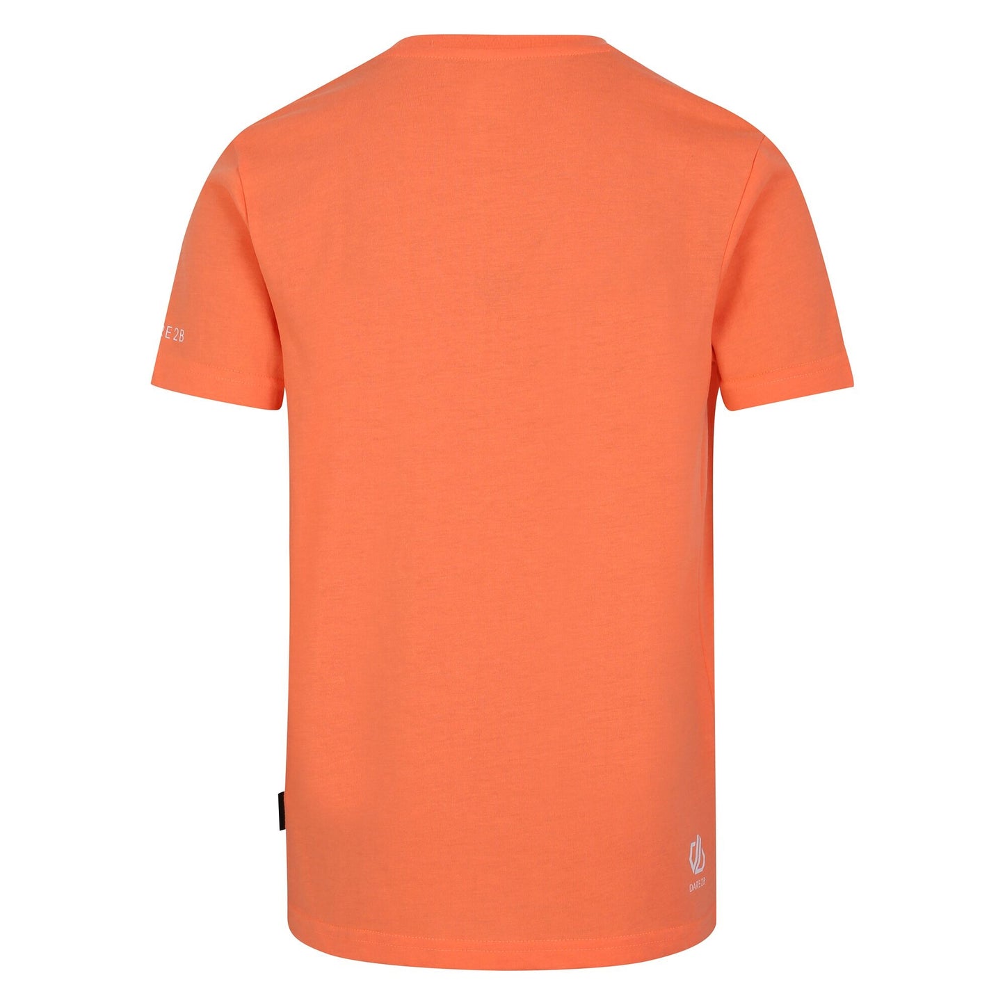 Live Wire - Back - Dare 2B Childrens-Kids Trailblazer II Mountain T-Shirt