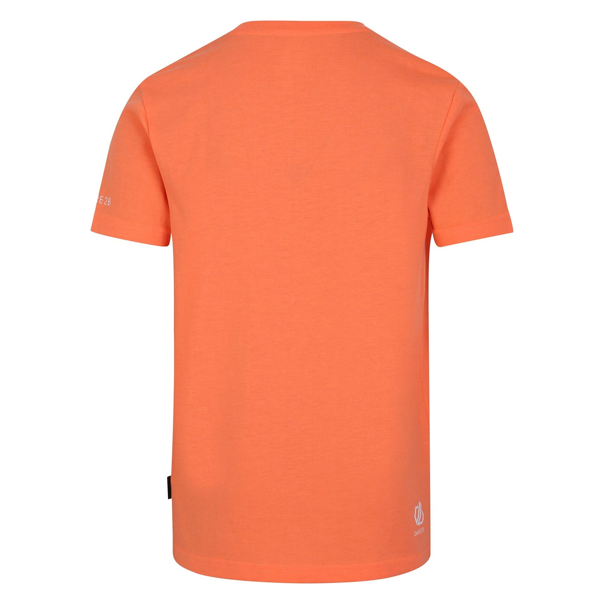 Live Wire - Back - Dare 2B Childrens-Kids Trailblazer II Mountain T-Shirt
