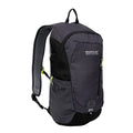 Black-Seal Grey - Side - Regatta Highton V2 20L Backpack