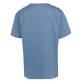 Coronet Blue - Back - Regatta Childrens-Kids Alvardo VIII Scenery T-Shirt