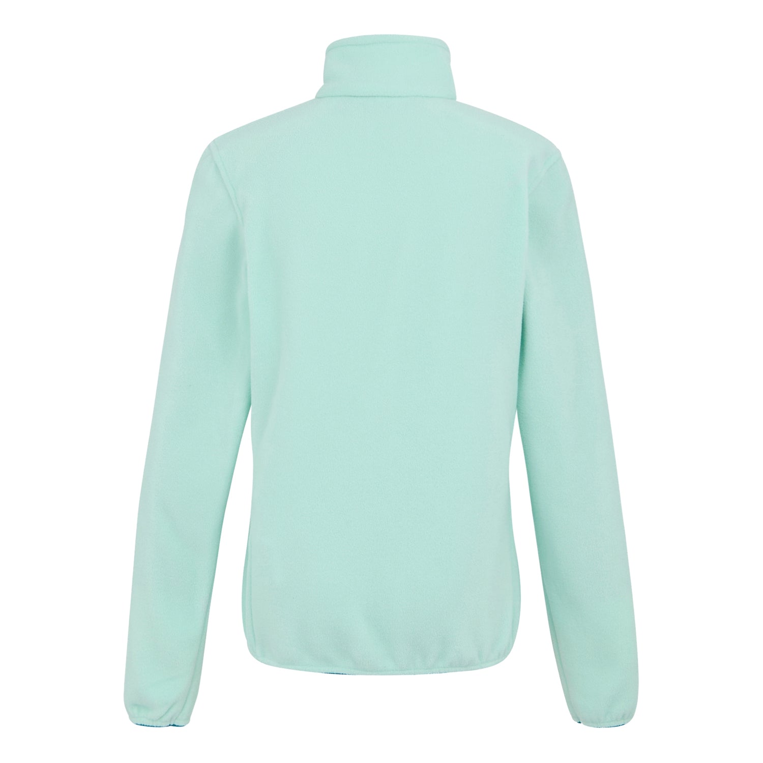 Icy Morn - Back - Regatta Womens-Ladies Clemence IV Full Zip Fleece