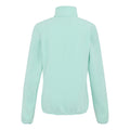Icy Morn - Back - Regatta Womens-Ladies Clemence IV Full Zip Fleece