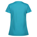 Tahoe Blue - Back - Regatta Womens-Ladies Fingal VIII Ocean T-Shirt