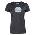 Seal Grey - Front - Regatta Womens-Ladies Fingal VIII Scenery Marl T-Shirt