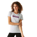 Cyberspace - Lifestyle - Regatta Womens-Ladies Fingal VIII Logo Marl T-Shirt