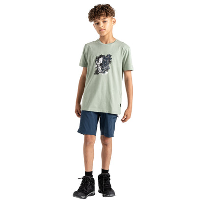 Lilypad Green - Lifestyle - Dare 2B Childrens-Kids Trailblazer II Graphic Print T-Shirt