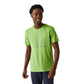 Piquant Green - Lifestyle - Regatta Mens Breezed IV Tree T-Shirt