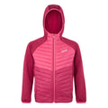 Deep Pink-Hot Pink - Front - Regatta Childrens-Kids Kielder VIII Hybrid Jacket
