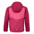 Deep Pink-Hot Pink - Back - Regatta Childrens-Kids Kielder VIII Hybrid Jacket