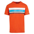 Rusty Orange - Front - Regatta Mens Rayonner T-Shirt