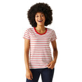 High Risk Red-White - Lifestyle - Regatta Womens-Ladies Filandra VIII Stripe T-Shirt