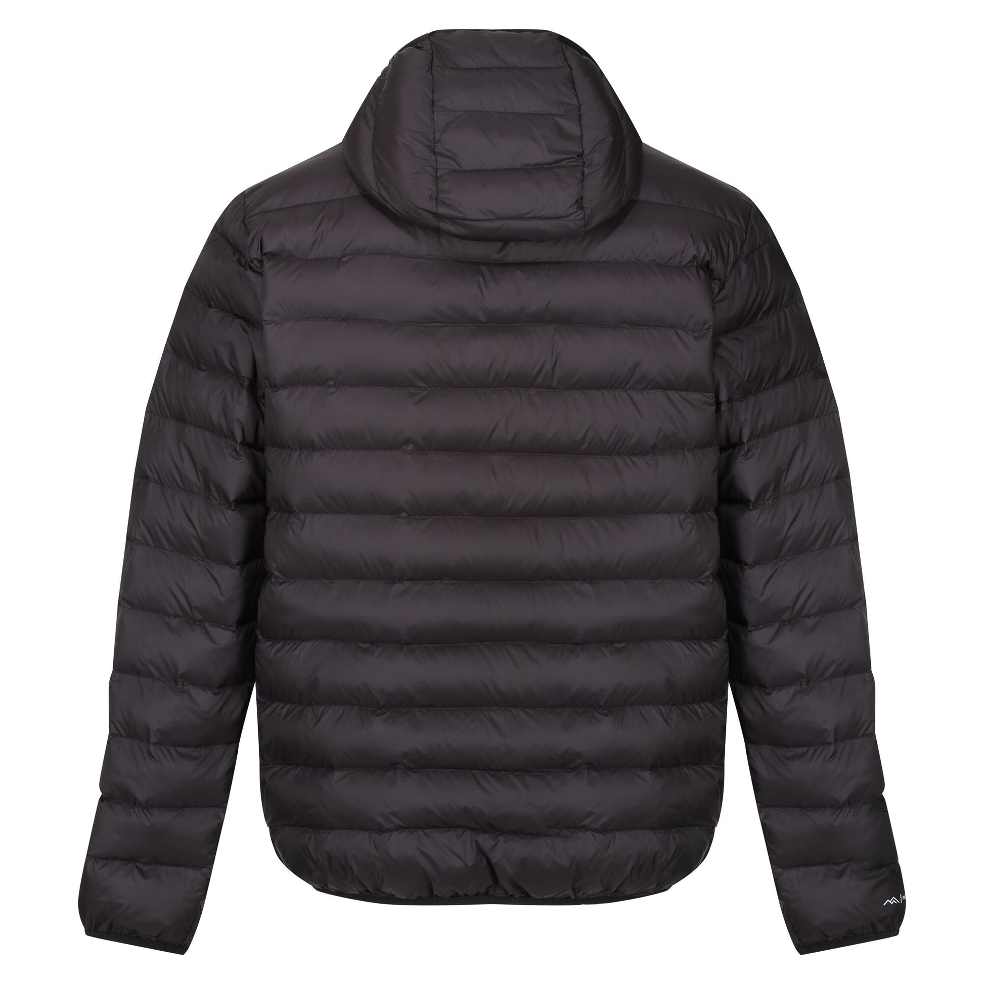 Black - Back - Regatta Mens Baffled Hooded Jacket