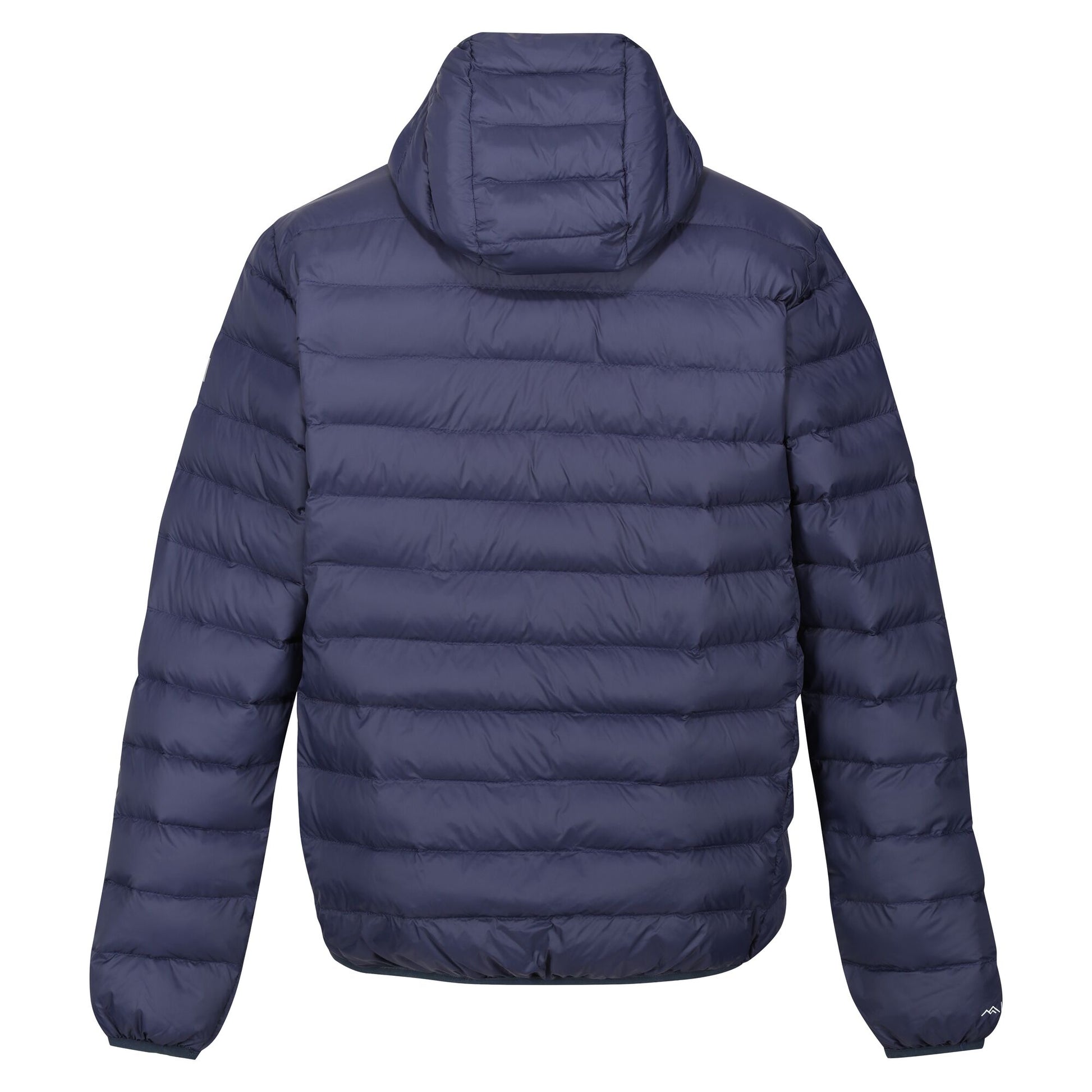 Navy - Back - Regatta Mens Baffled Hooded Jacket
