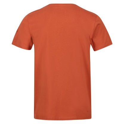 Baked Clay - Back - Regatta Mens Cline VII Scenery T-Shirt