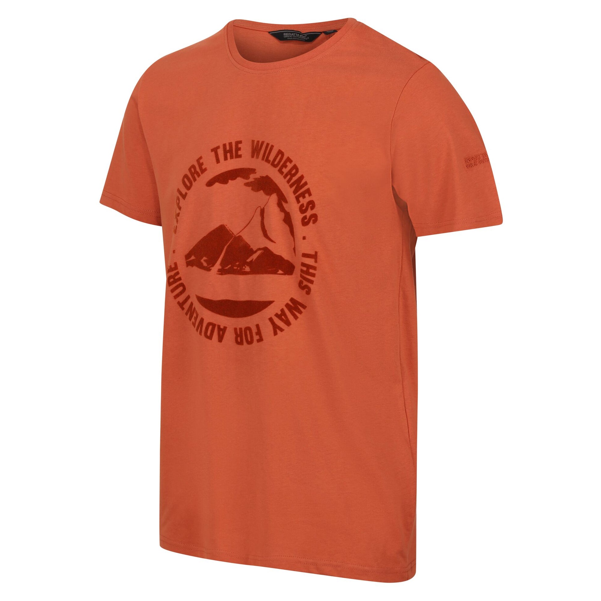Baked Clay - Side - Regatta Mens Cline VII Scenery T-Shirt