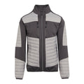 Mineral Grey-Ash - Front - Regatta Professional Mens Thermal Hybrid Jacket