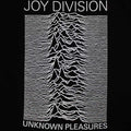 Black - Back - Joy Division Womens-Ladies Unknown Pleasures T-Shirt