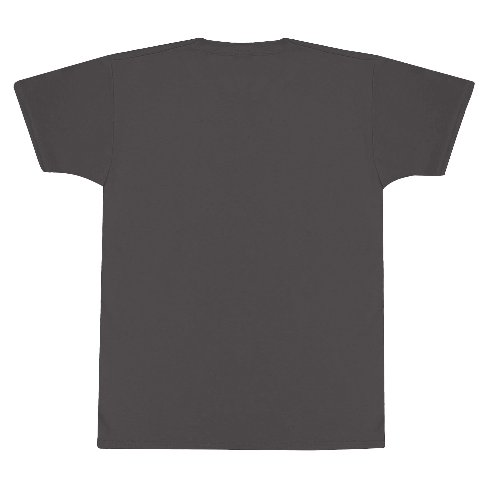 Grey - Back - Scooby Doo Unisex Adult Skateboard T-Shirt