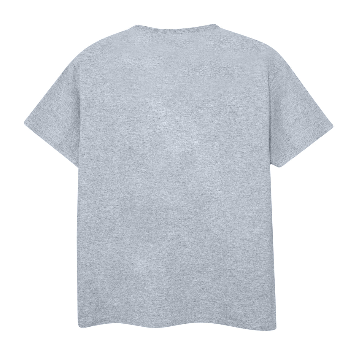 Grey - Back - Batman Unisex Adult Silhouette Drip T-Shirt