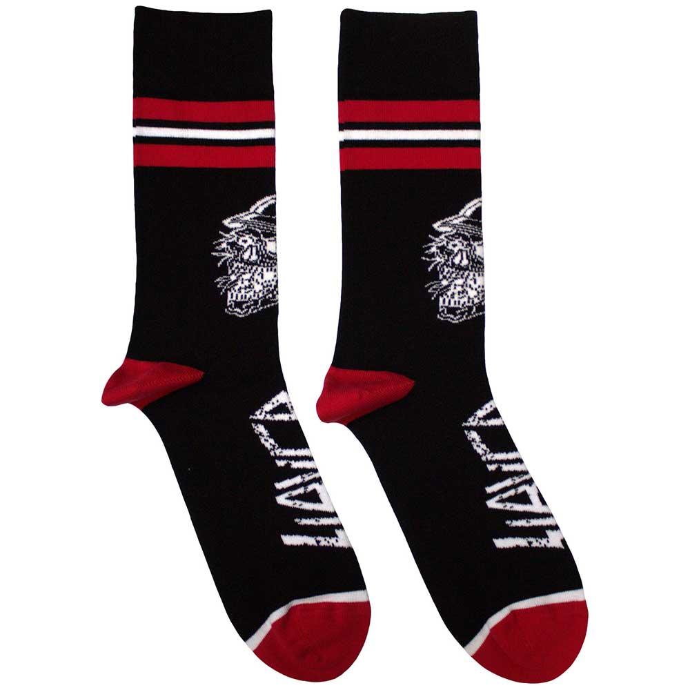 Black-White-Red - Front - Slayer Unisex Adult Skull Helmet Socks