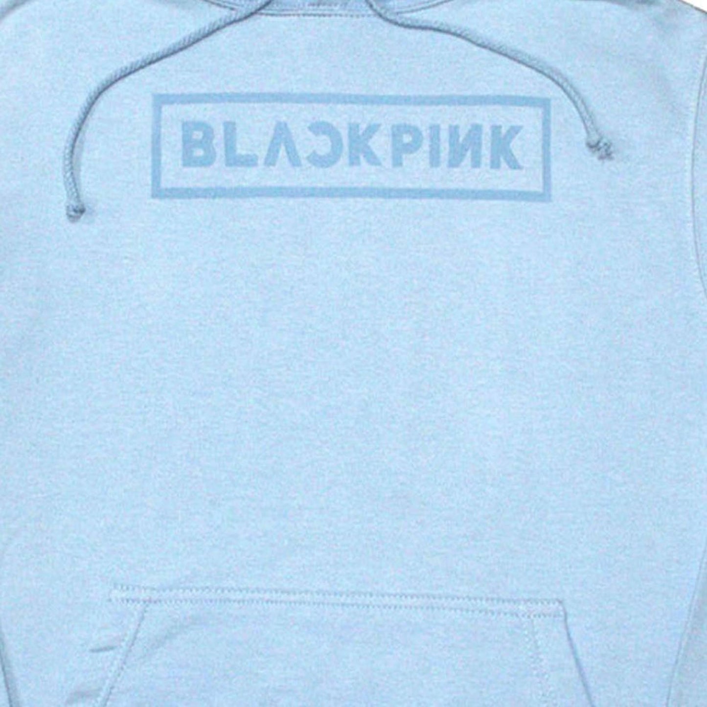 Light Blue - Back - BlackPink Unisex Adult Logo Pullover Hoodie