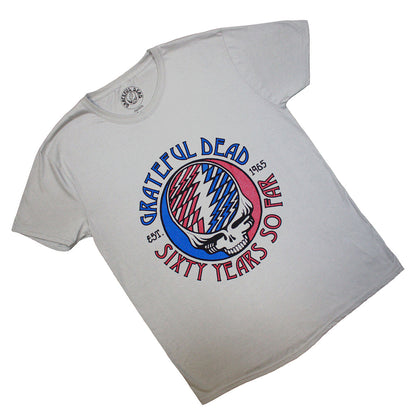 Grey - Back - Grateful Dead Unisex Adult Stealie 60 T-Shirt