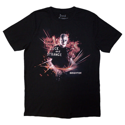 Black - Front - David Gilmour Unisex Adult Luck & Strange Brighton Back Print T-Shirt