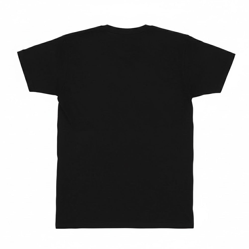 Black - Back - The Libertines Unisex Adult Time For Heroes Flag T-Shirt