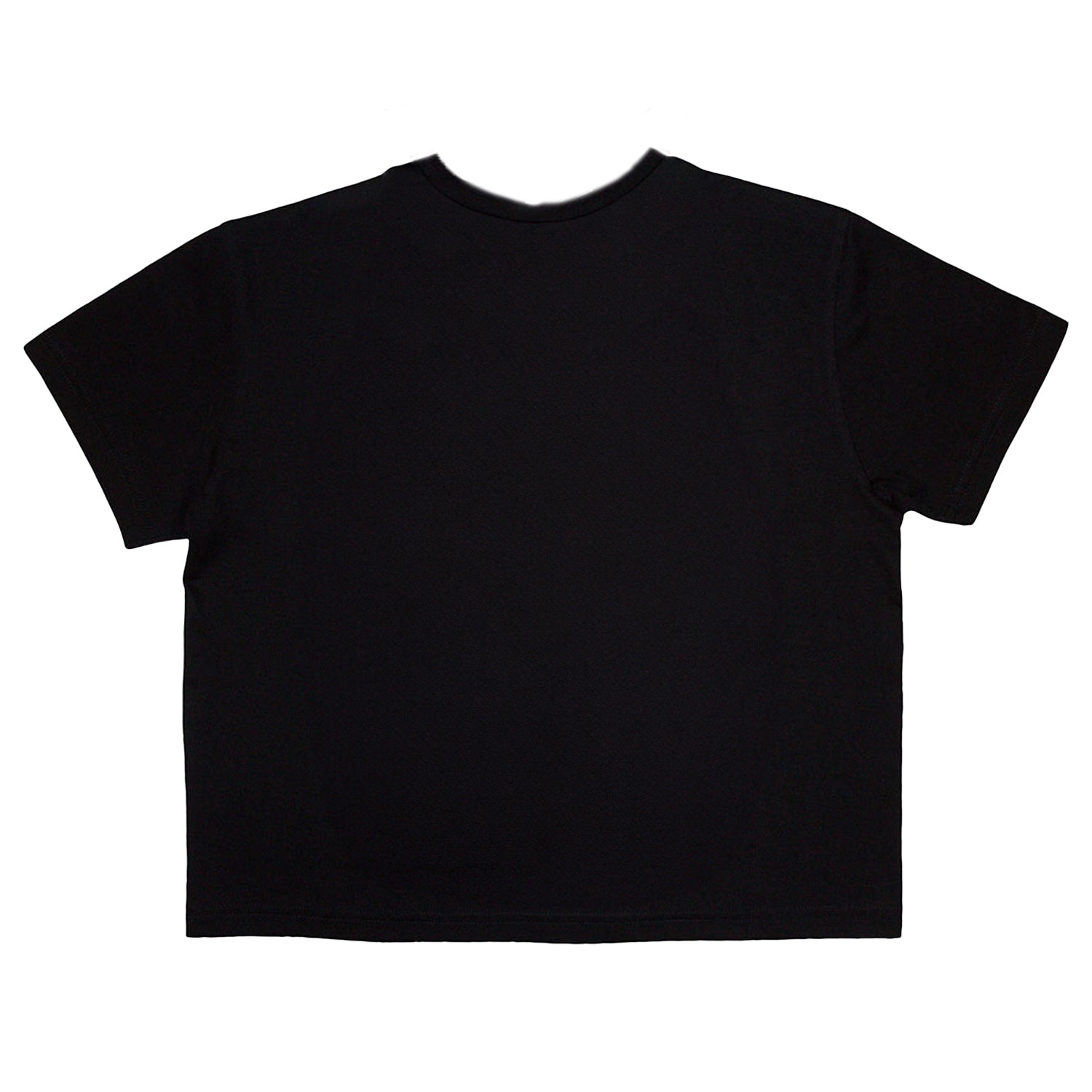 Black - Back - Slayer Womens-Ladies Reign In Blood Crop Top