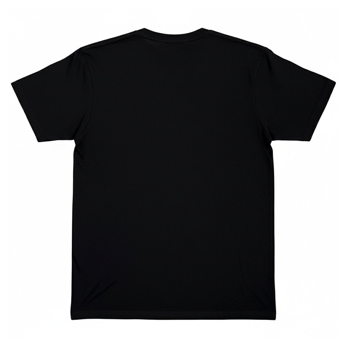 Black - Back - Alice In Chains Unisex Adult Sun Logo T-Shirt