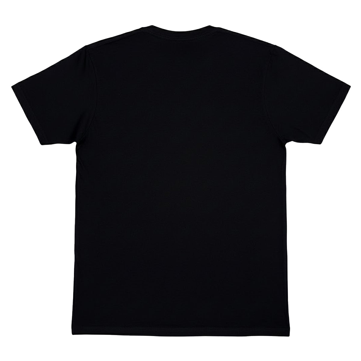 Black - Back - Pink Floyd Unisex Adult Diamond T-Shirt
