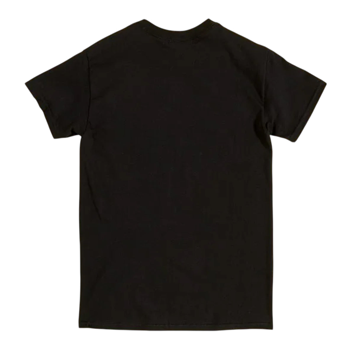 Black - Back - Wu-Tang Clan Unisex Adult World T-Shirt