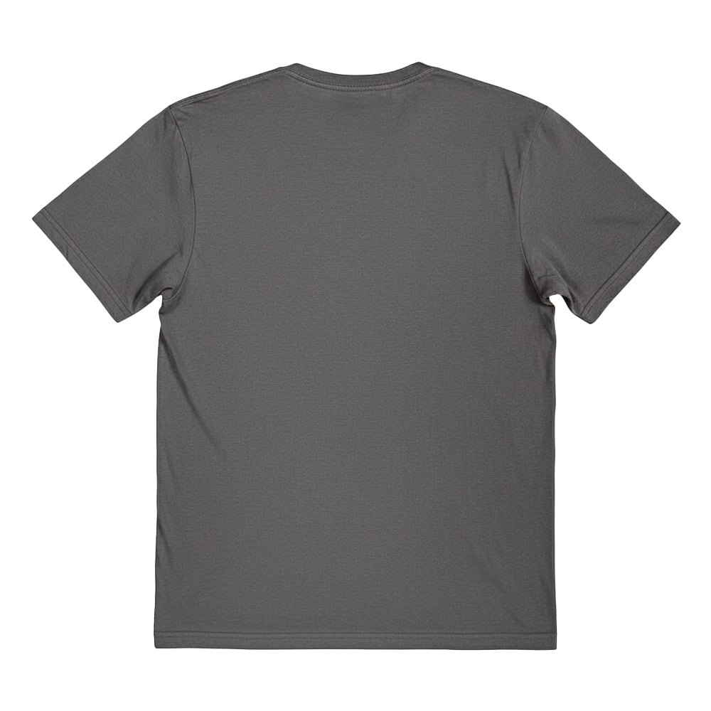 Grey - Back - Dead Kennedys Unisex Adult Bedtime For Democracy T-Shirt