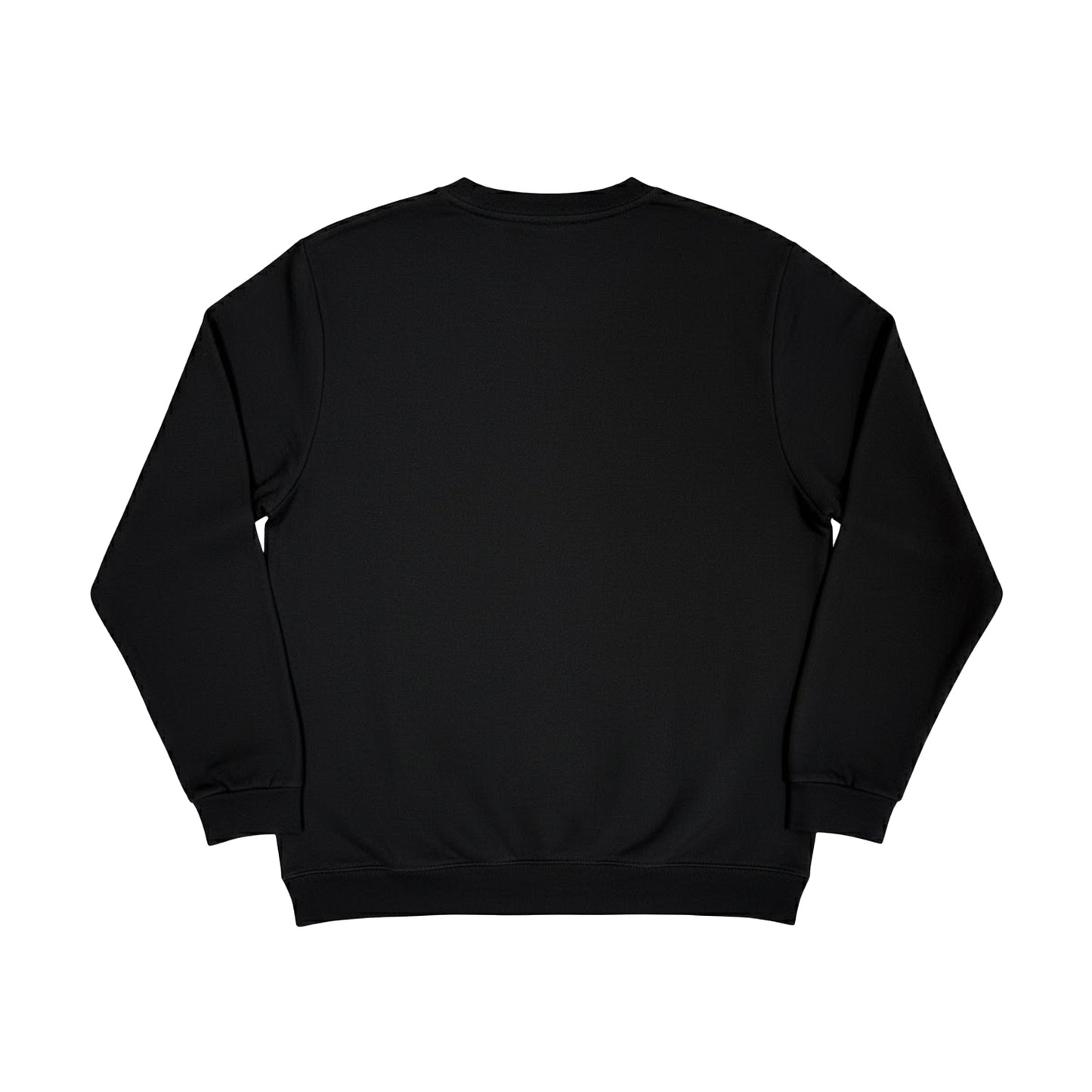 Black - Back - Snoop Dogg Unisex Adult Chronic Signature Sweatshirt
