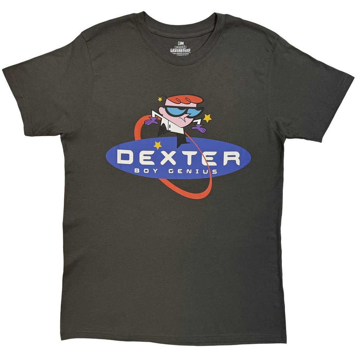 Charcoal Grey - Front - Dexters Laboratory Unisex Adult Boy Genius T-Shirt