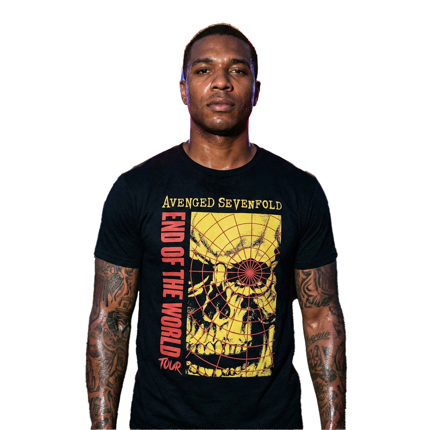 Black - Back - Avenged Sevenfold Unisex Adult End Of The World Tour T-Shirt