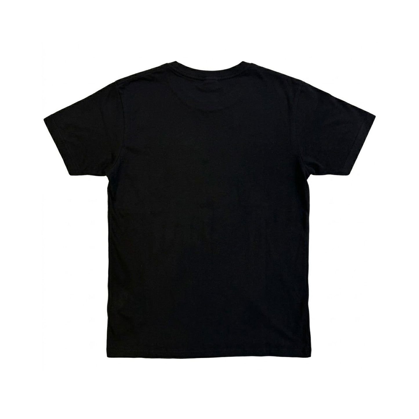 Black - Back - Joan Jett & The Black Hearts Unisex Adult Guitar T-Shirt