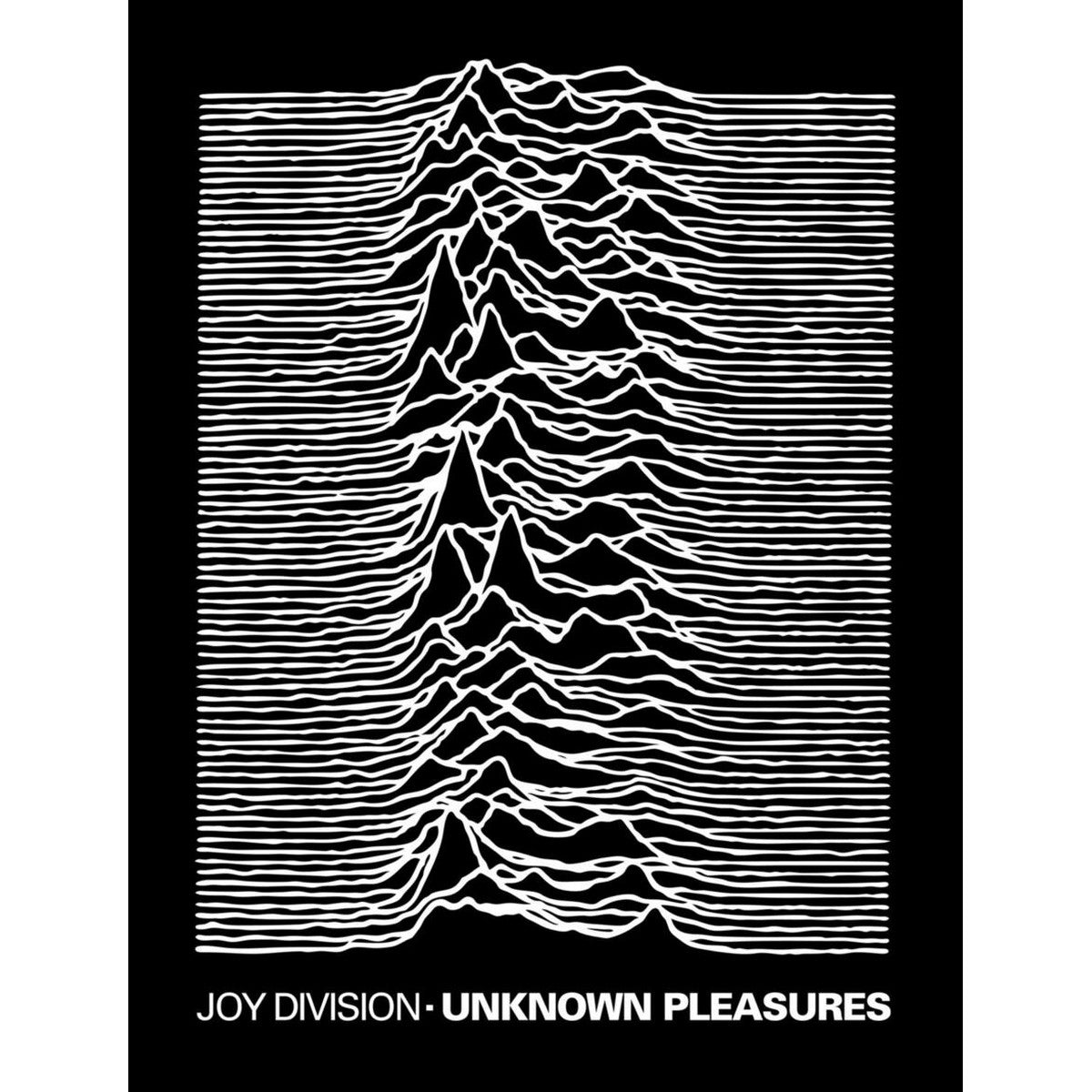 Multicoloured - Front - Joy Division Unknown Pleasures Sherpa Fleece Blanket
