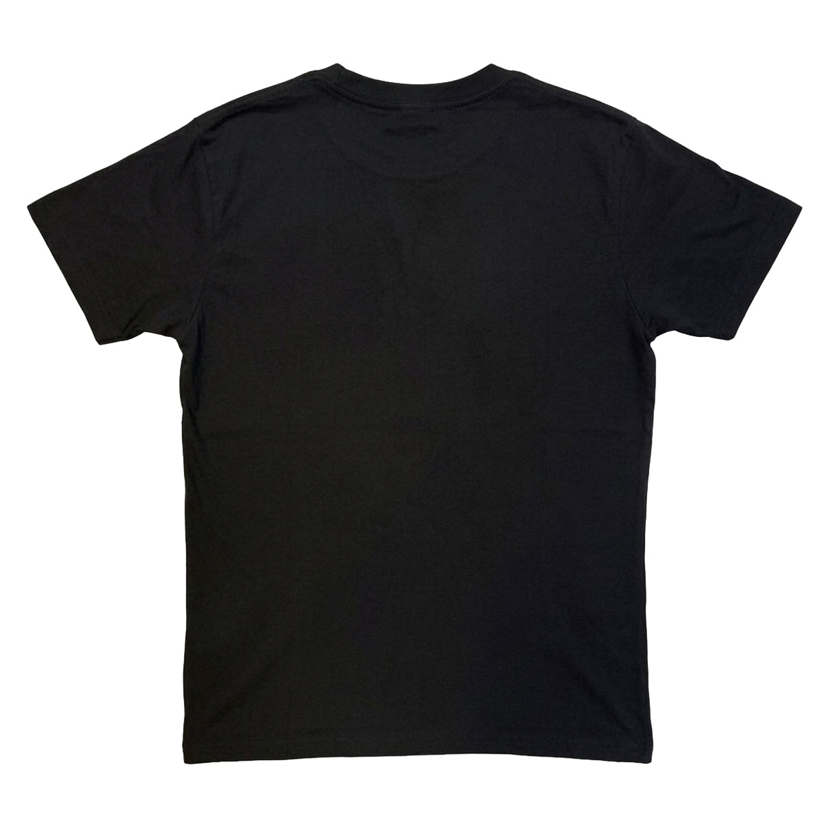 Black - Back - Billie Eilish Unisex Adult Blurred Stand T-Shirt