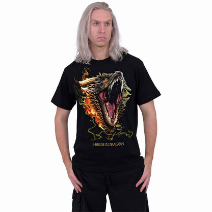 Black - Back - House Of The Dragon Unisex Adult HOD2 Drogon Back Print T-Shirt