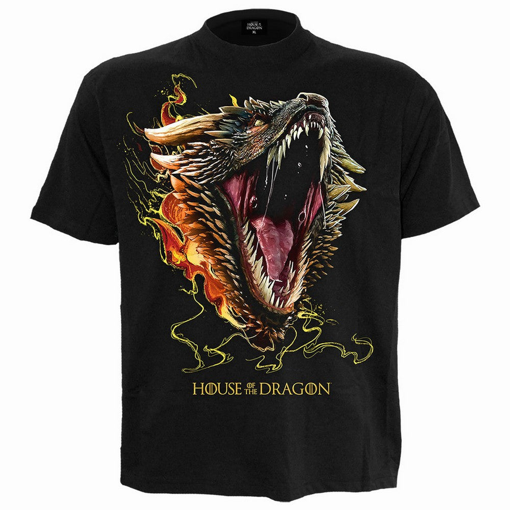 Black - Front - House Of The Dragon Unisex Adult HOD2 Drogon Back Print T-Shirt