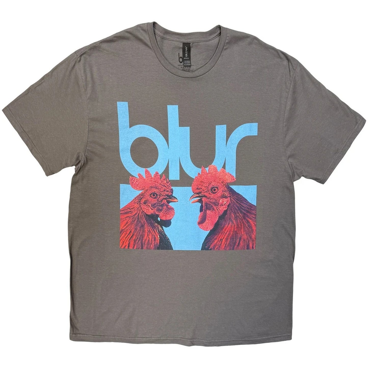 Charcoal Grey - Front - Blur Unisex Adult Hens Teeth T-Shirt