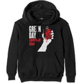 Black - Front - Green Day Unisex Adult American Idiot Hoodie