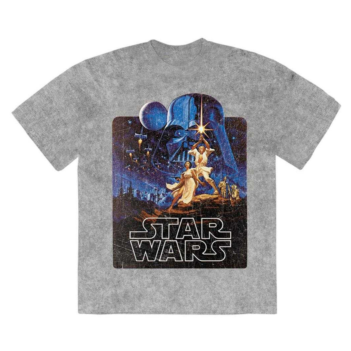 Grey - Front - Star Wars Unisex Adult Luke & Leia Action Pose Stone Wash T-Shirt